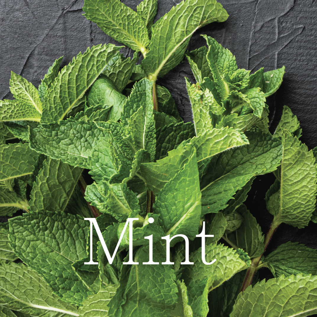 MINT