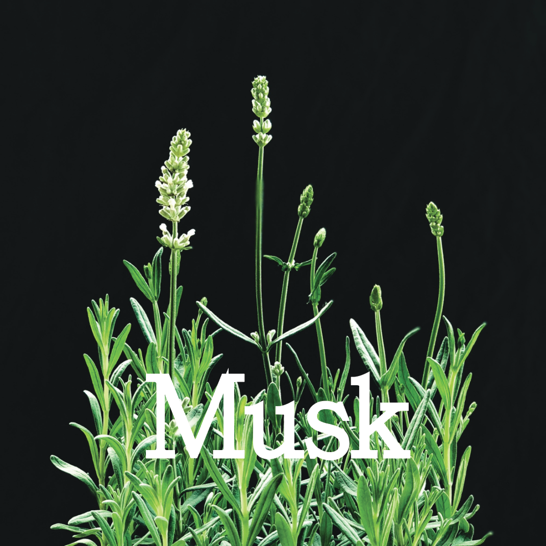 MUSK