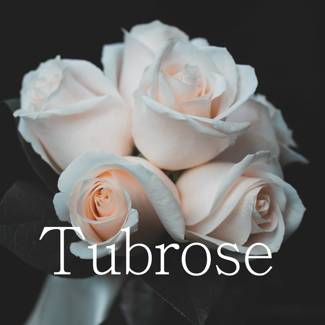 TUBROSE