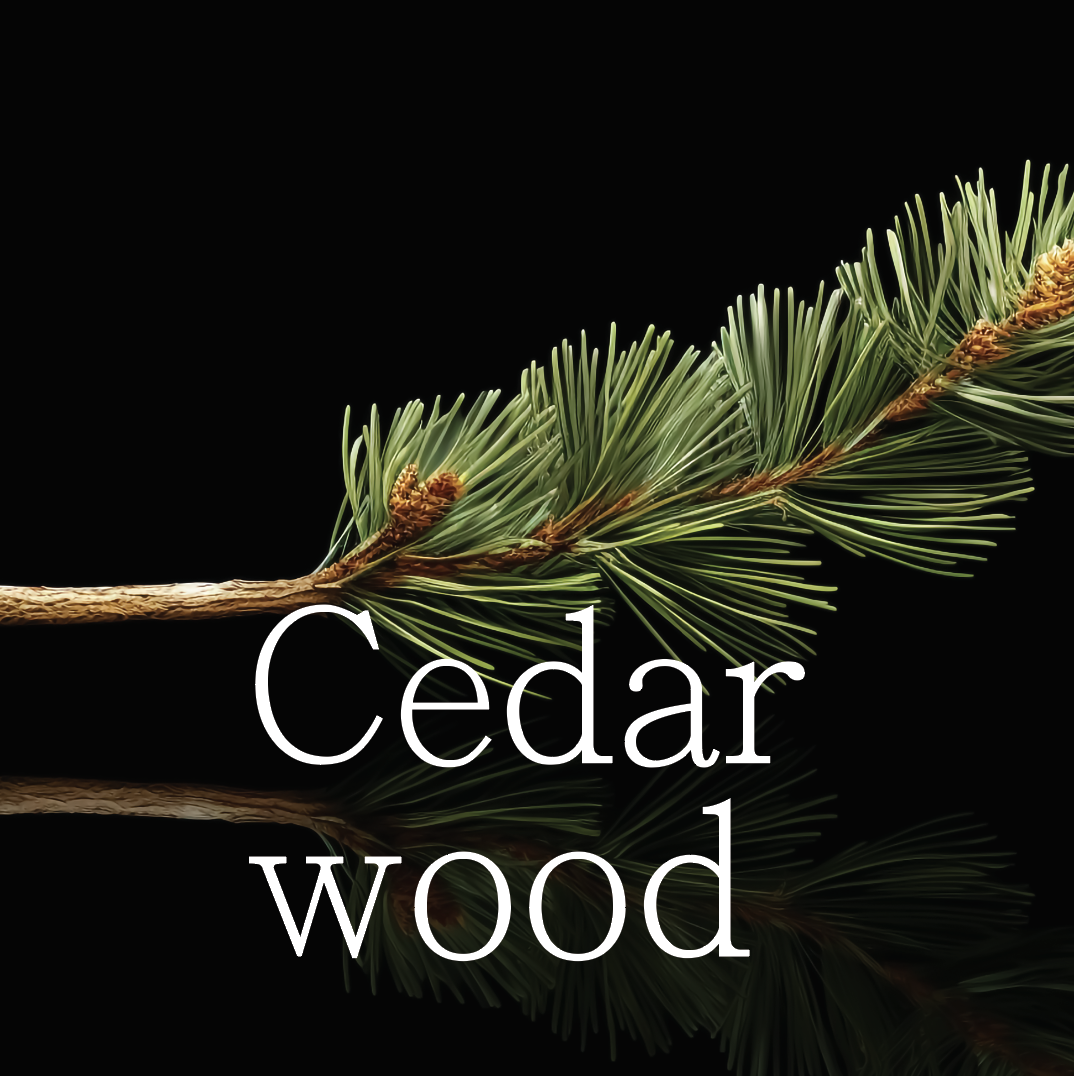 Cedar wood
