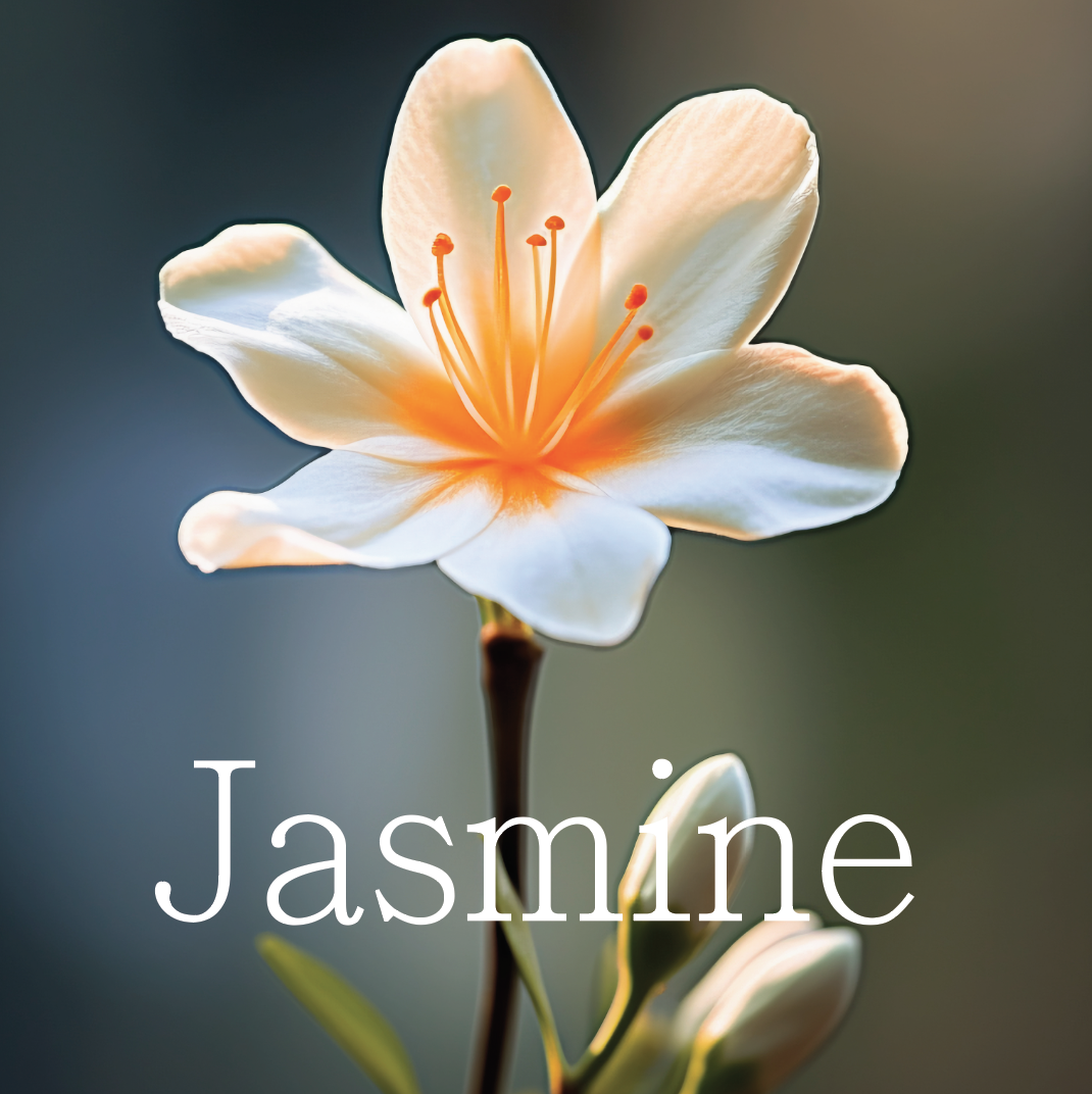 Jasmine